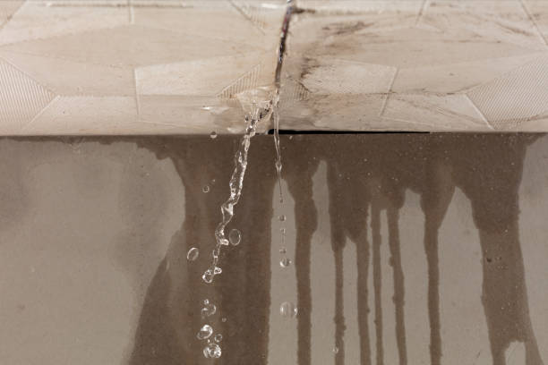 Professional Sewage Cleanup technician working in Nashville, MI